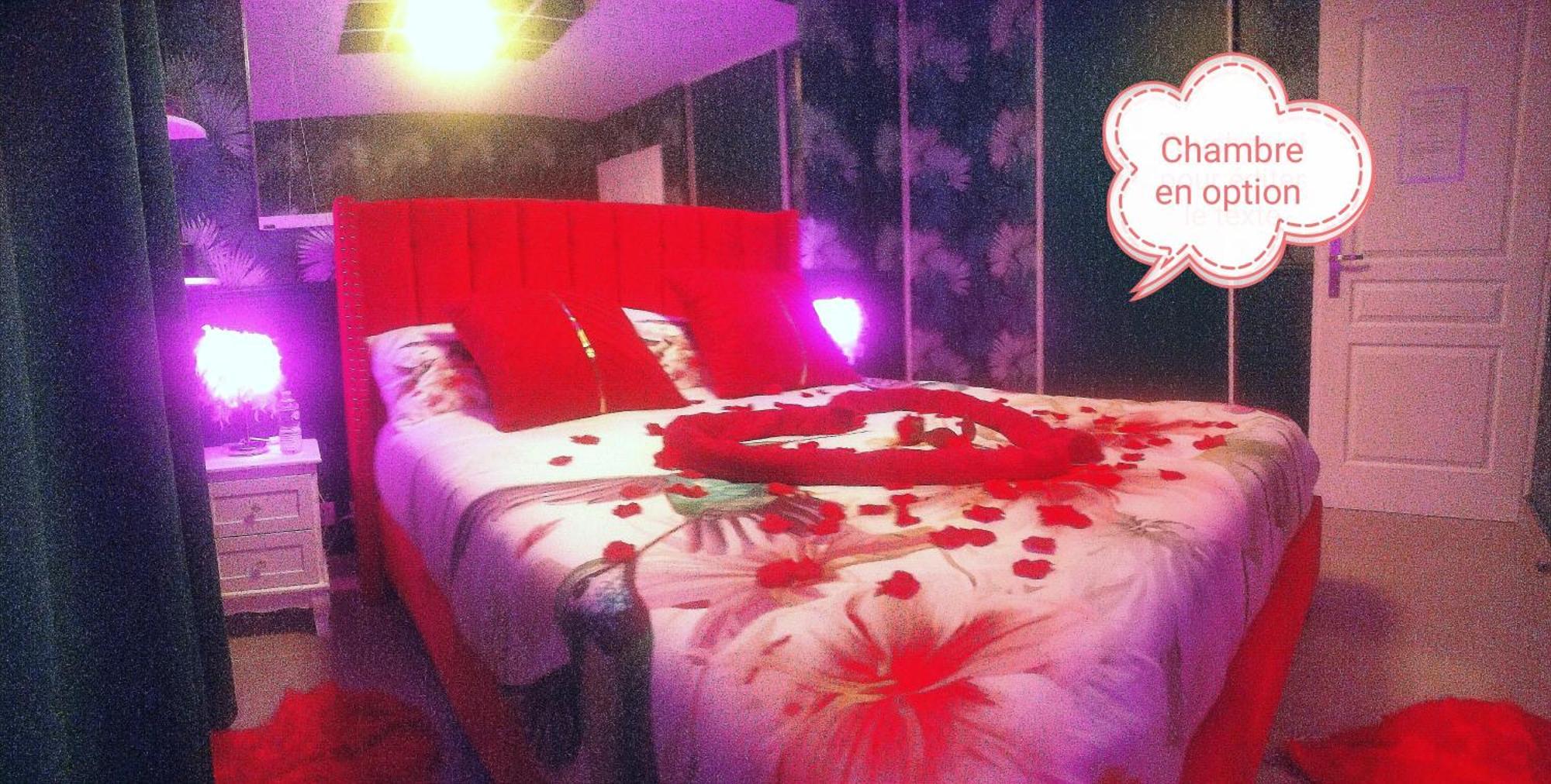 Romantisme Et Glamour 2 Avec Spa , Clim Et Jardin Dijon Exterior foto